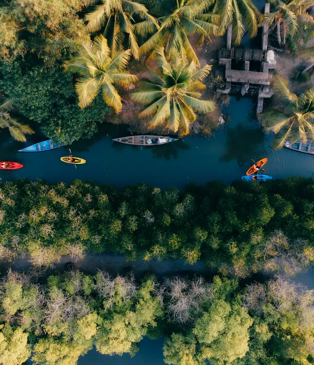 Erkunden Sie das Periyar-Wildreservat, entdecken Sie die Flora und Fauna, und genießen Sie eine Bootsfahrt bei Sonnenuntergang in Alleppey.