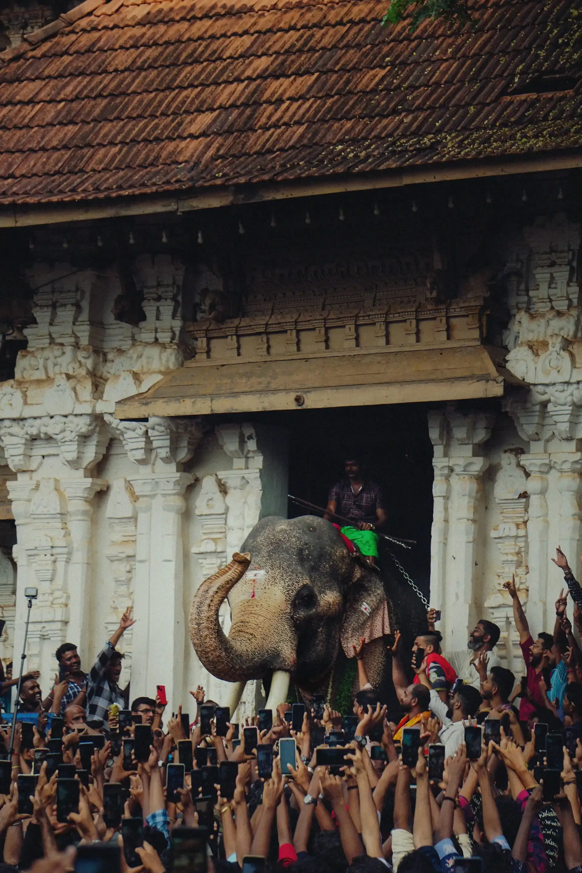 Explore Kochi’s landmarks, houseboat cruise in Alleppey, Vembanad Lake, and Thrissur’s cultural heritage sites like Vadakkunnathan Temple.
