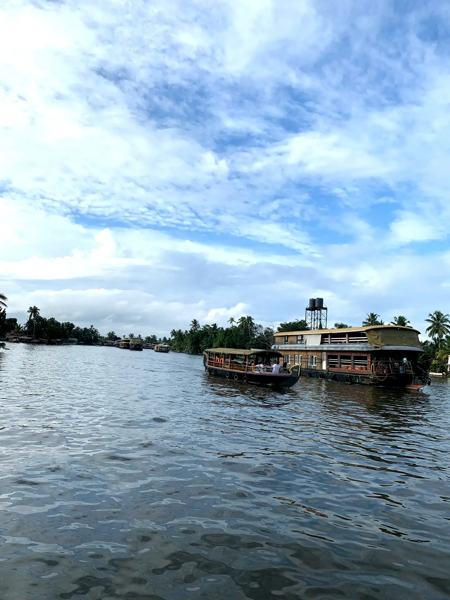 Experience Kerala's cultural heritage with Onam, Kathakali, Kalaripayattu, and local cuisine amidst unique architecture.